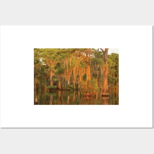 Atchafalaya National Wildlife Refuge Sunrise On Swamp Posters and Art